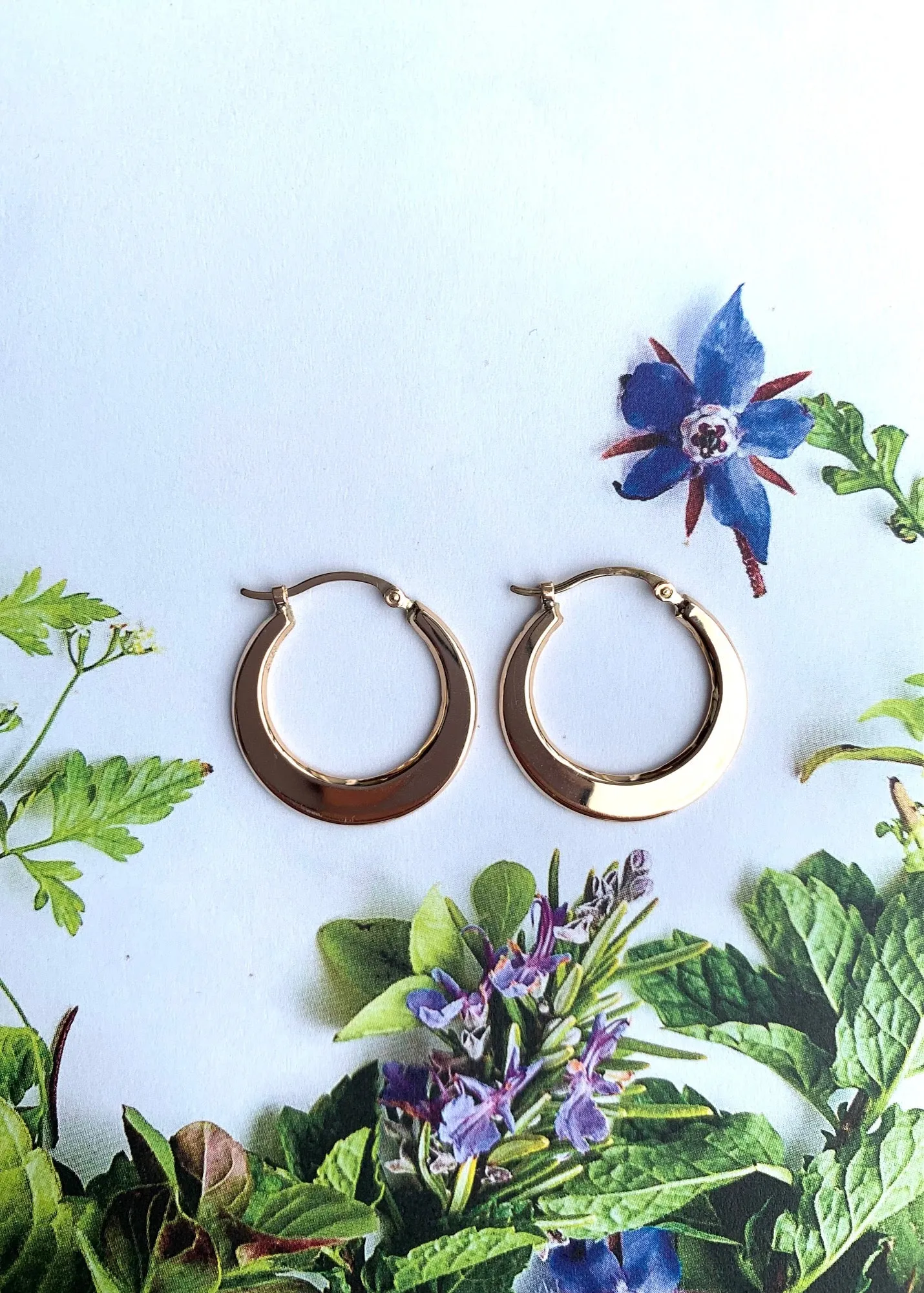 Carla Corp | 14k Flat Hoop