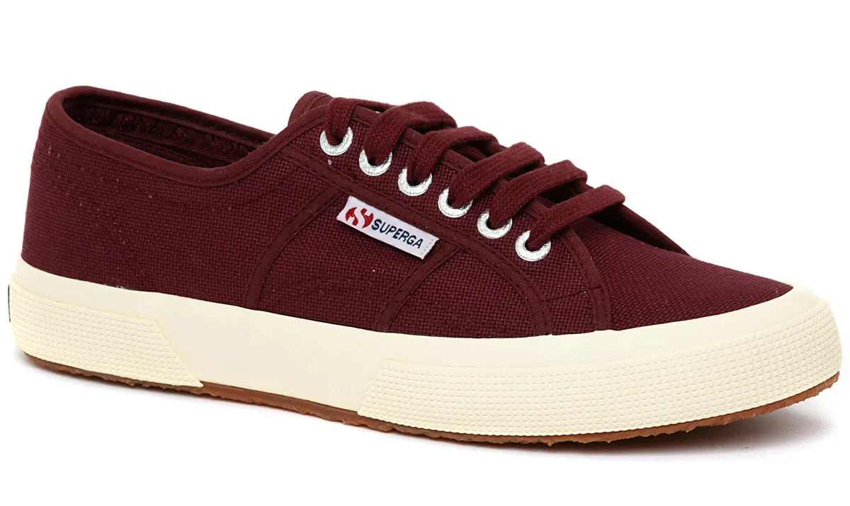 Cotu Classic Trainers Dark Bordeaux - Stylish Sneakers