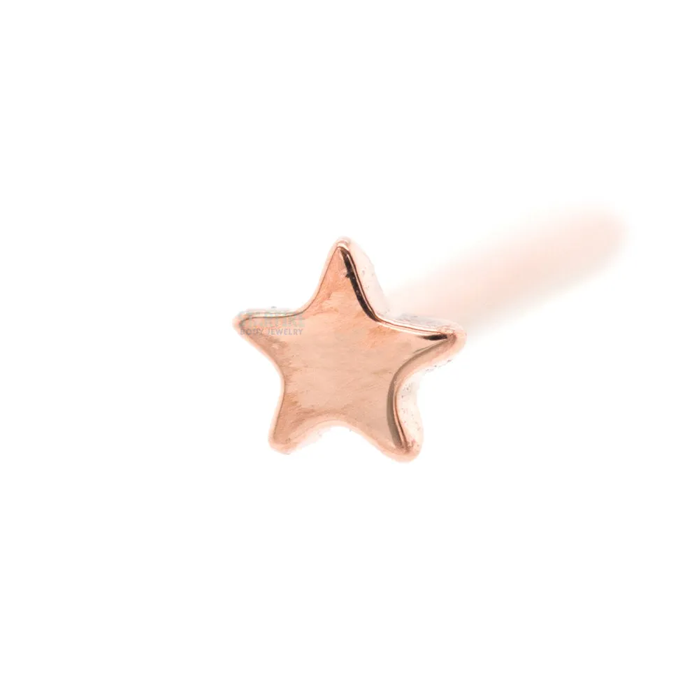 Gold Flat Nostril Screw with Star Design