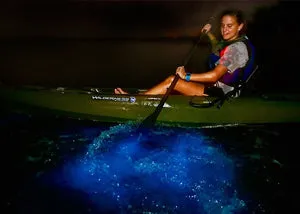 Florida Bioluminescent Kayaking