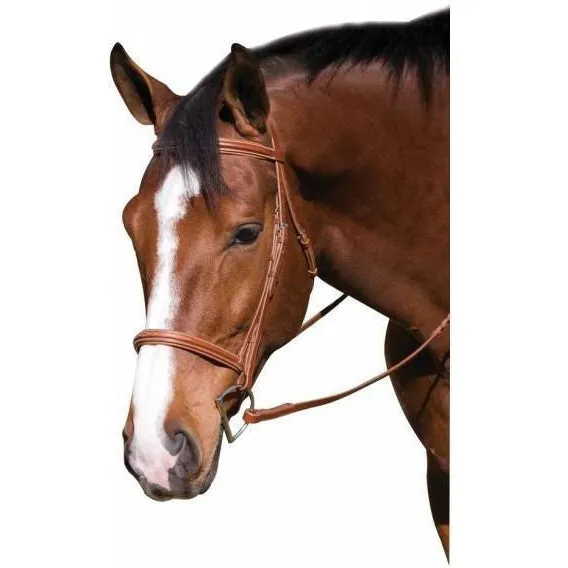 Henri de Rivel Padded Bridle With Laced Reins.