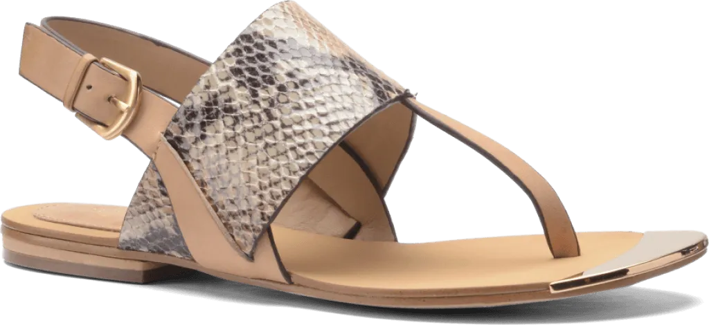 Isola Presta Thong Sandal for Women