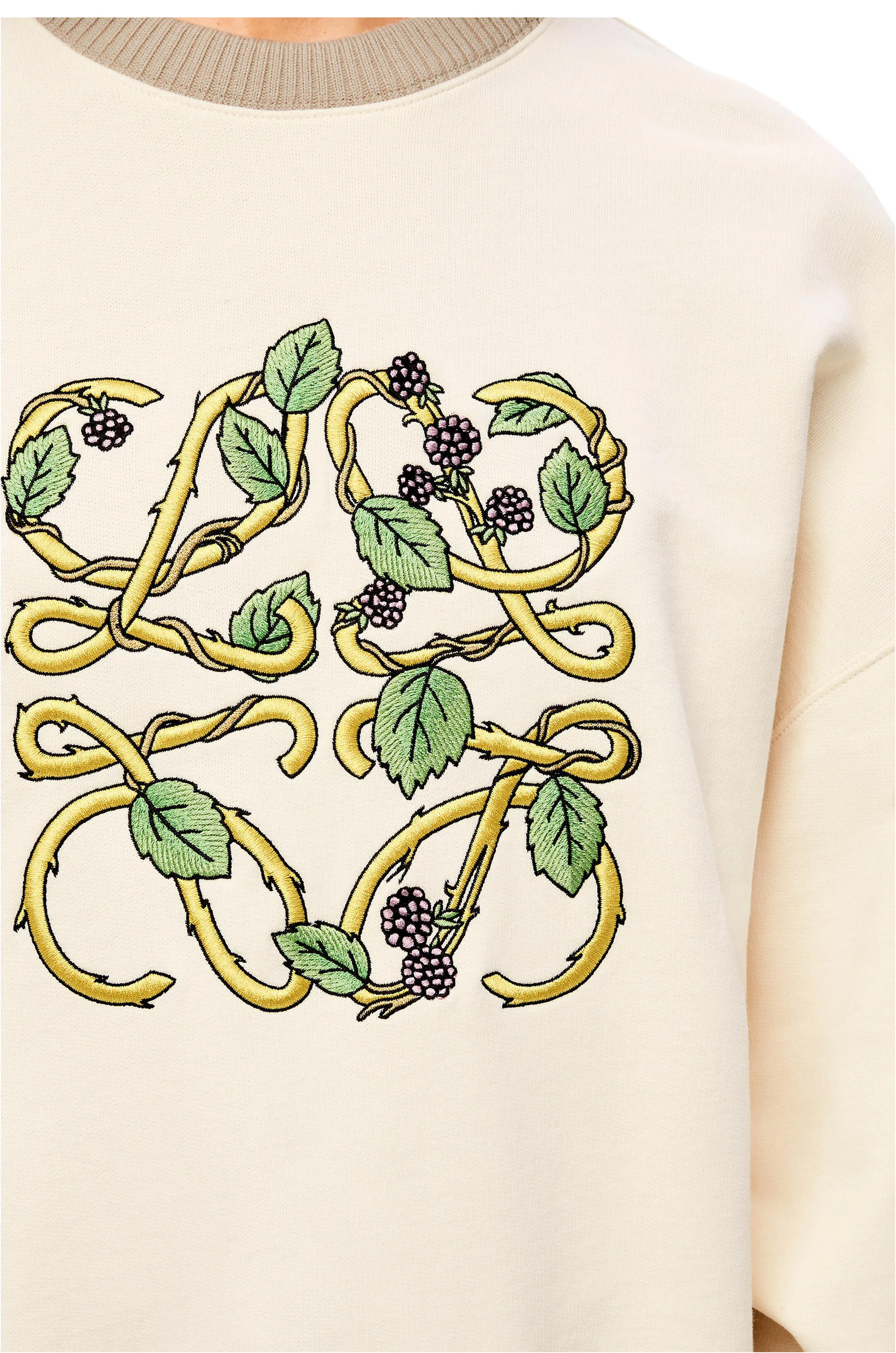 LOEWE Herbarium anagram cotton sweatshirt - SHOP NOW