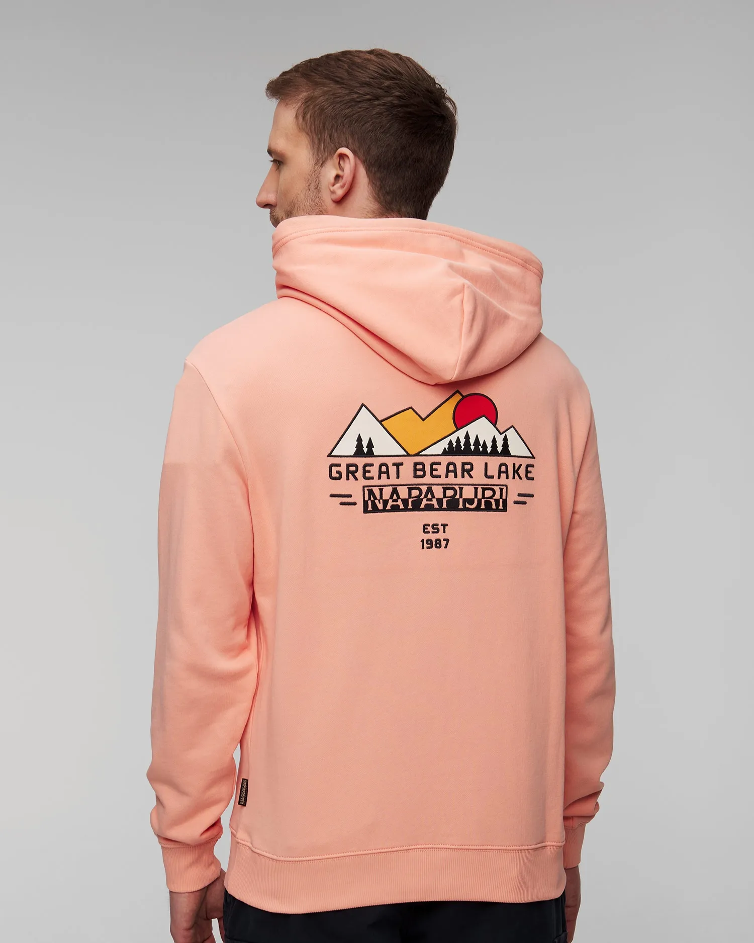 Men's pink sweatshirt Napapijri B-Boyd H NP0A4HP2P1I1-660