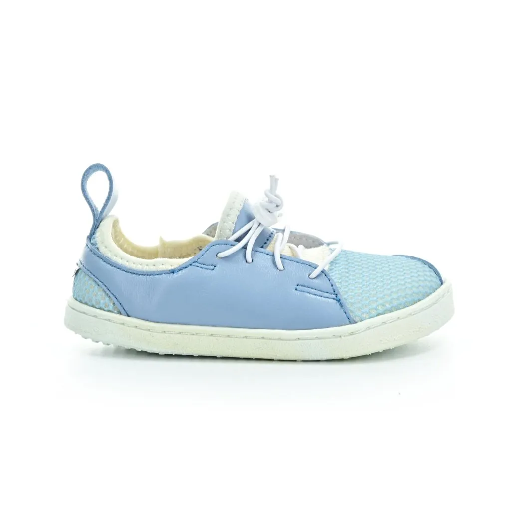 Pegres BF53 blue barefoot sneakers