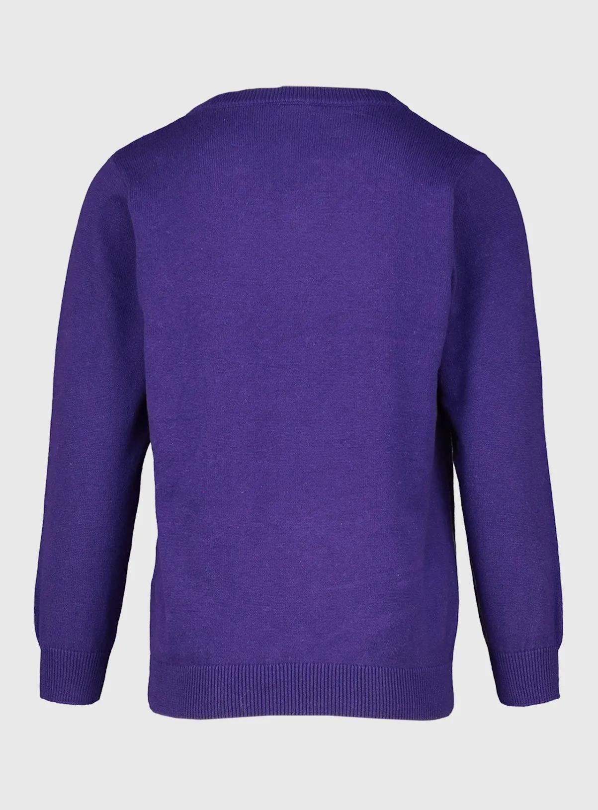 Purple V-Neck Jumpers 2 Pack for 3-year-olds | Tu Clothing