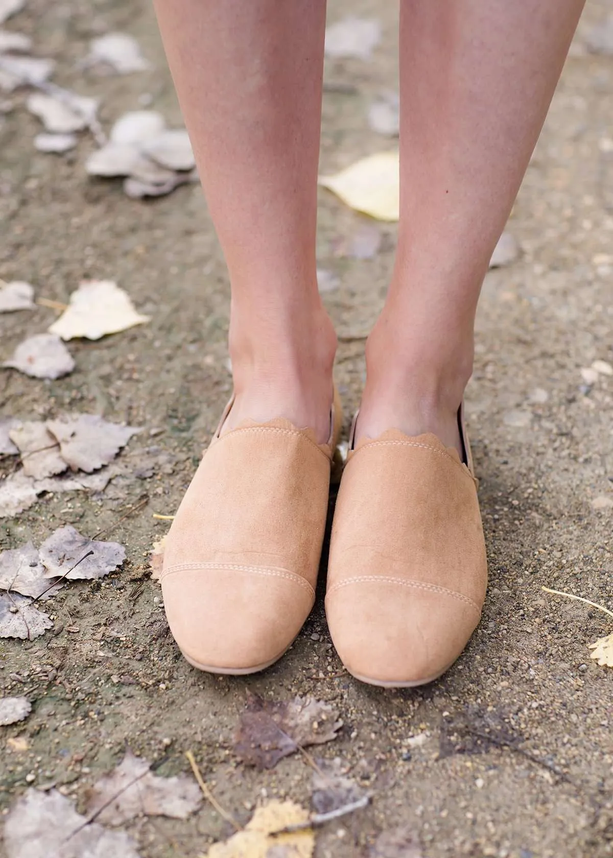 Ribbon Detail Suede Flat