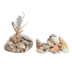 Shells In Jute Bag